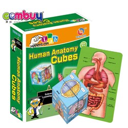 CB758942 - Body blocks puzzle experiment jigsaw science education toy